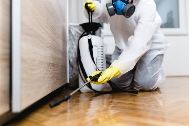Professional Pest Control in Thompsons Station, TN