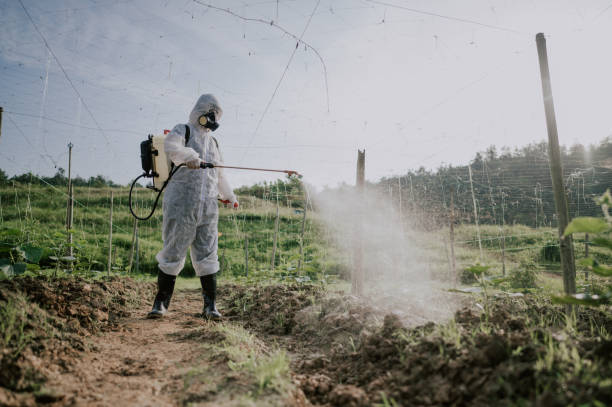 Best Best Pest Control Companies  in Thompsons Station, TN
