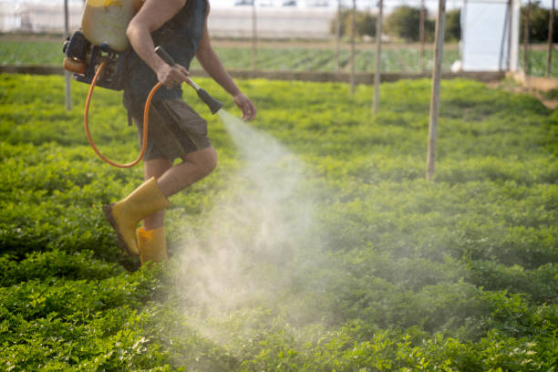 Best Affordable Pest Control Services  in Thompsons Station, TN