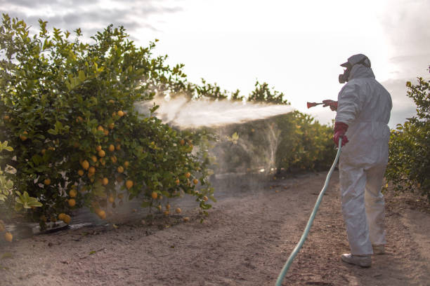 Best Local Pest Control Services  in Thompsons Station, TN