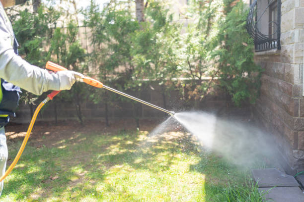 Best Bed Bug Extermination  in Thompsons Station, TN
