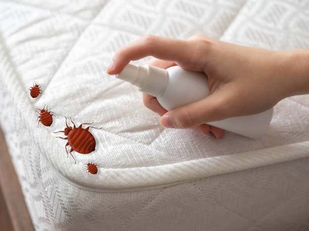 Best Pest Prevention Services  in Thompsons Station, TN