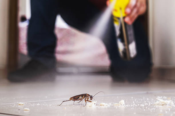 Flea Control Services in Thompsons Station, TN