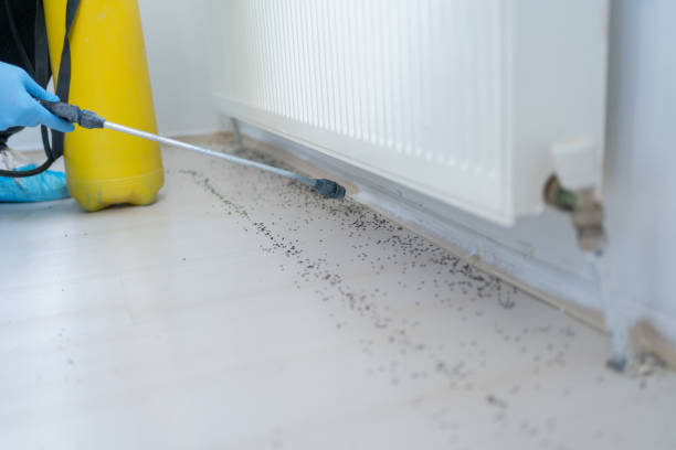 Best Exterminator Services  in Thompsons Station, TN