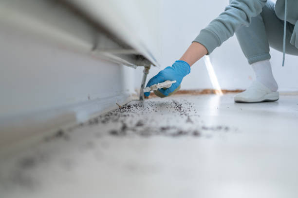  Thompsons Station, TN Pest Control Pros